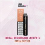 Podsalt Go 2500 Puff Vape – 20mg Nic Salt Disposable | Dubai - Image 7