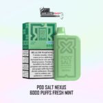 Podsalt Nexus 6000 Puff Ice Edition – 20mg Disposable Vape | Dubai - Image 5