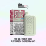 Podsalt Nexus 6000 Puff Ice Edition – 20mg Disposable Vape | Dubai - Image 4
