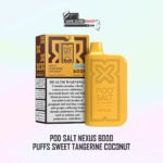 Podsalt Nexus 6000 Puff Ice Edition – 20mg Disposable Vape | Dubai