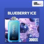 Beco 30000 puffs Blueberry Ice 20mg disposable vape available in Dubai and across the UAE at VapeZone