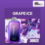 Beco 30000 puffs Grape Ice 20mg disposable vape available in Dubai and across the UAE at VapeZone