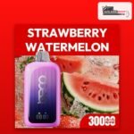 Beco 30000 puffs Strawberry Watermelon 20mg disposable vape available in Dubai and across the UAE at VapeZone