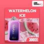 Beco 30000 puffs Watermelon Ice 20mg disposable vape available in Dubai and across the UAE at VapeZone