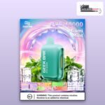 Geek Bar PCE 40000 Puffs Miami Mint 50mg Disposable Vape Dubai