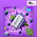 Vozol Star 40000 Puffs Blueberry Mint Disposable Vape 50mg Dubai UAE
