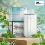 Pod Salt Pearl Pro 10000 Puffs Sweet Mint Burst Dubai UAE